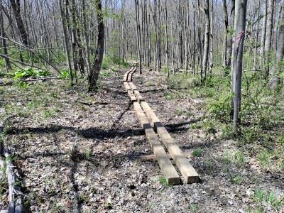 A wet area of the trail is crossed by a well-constructed path made of wooden planks.
